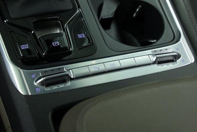 Used 2025 Kia Carnival SX image 24