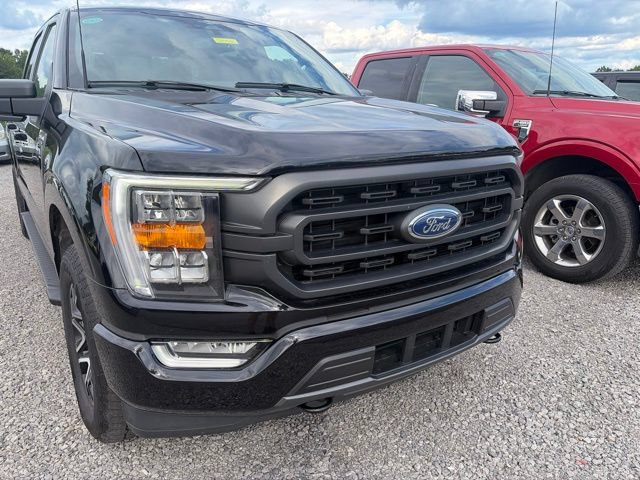 Used 2023 Ford F150 XLT w/ Equipment Group 302A High AWD/4WD image 6