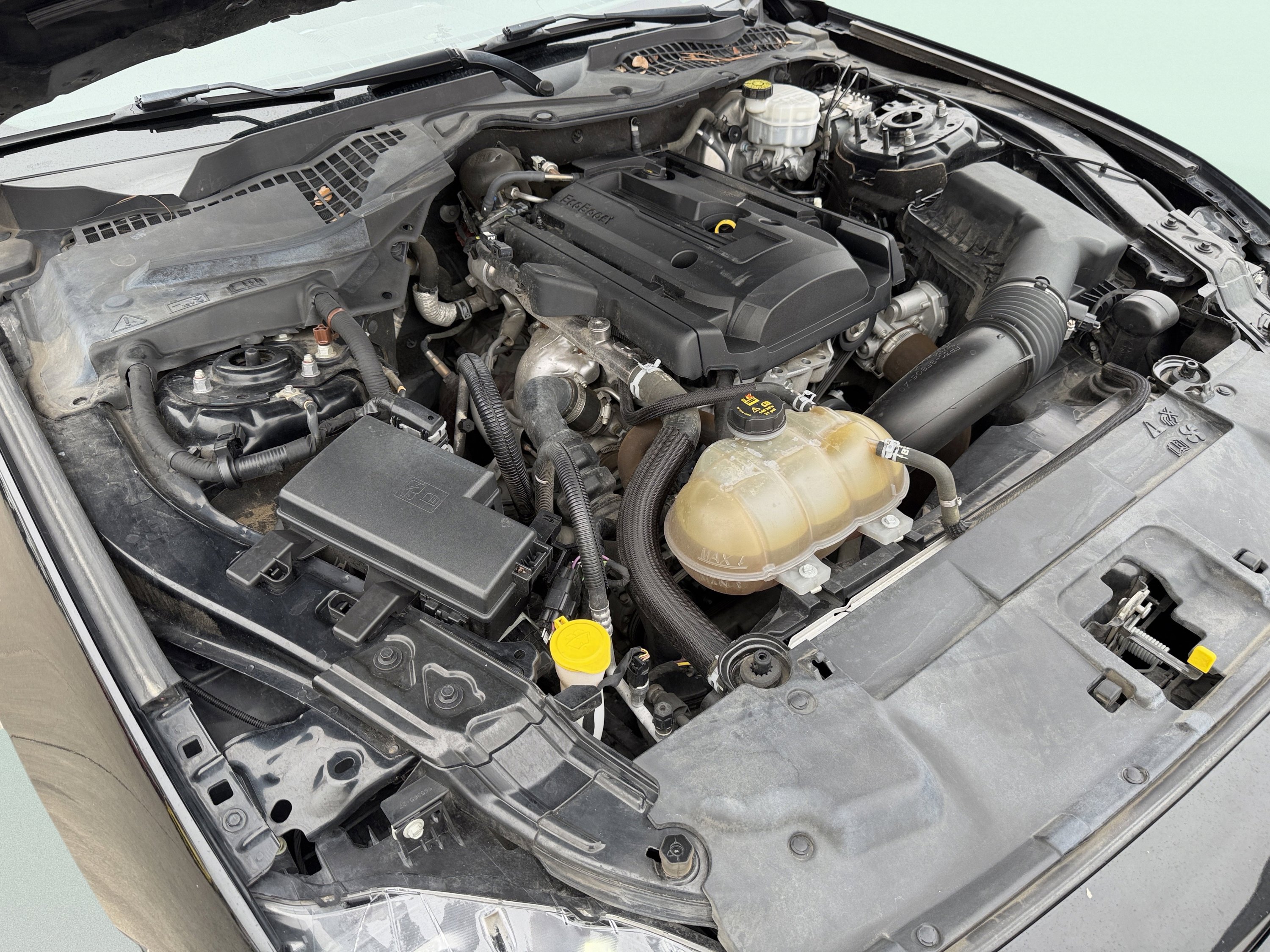 Used 2019 Ford Mustang Coupe image 11