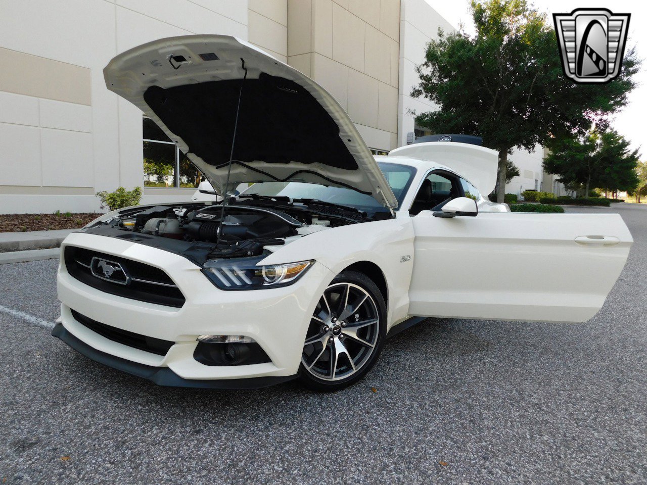 Used 2015 Ford Mustang 50 Years image 23
