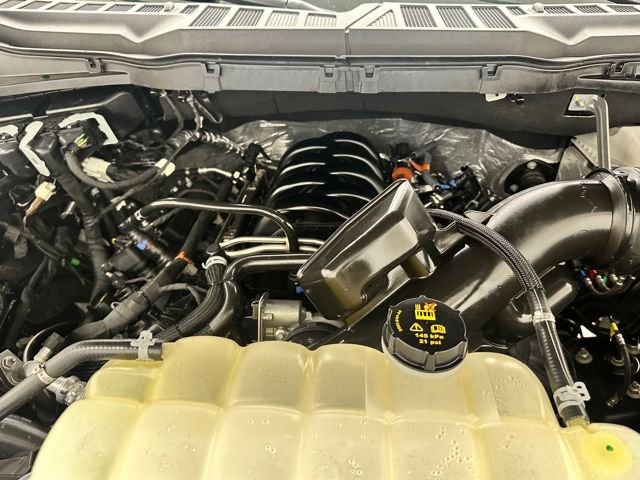 Certified 2025 Ford F150 XLT w/ Equipment Group 301A Standard image 32