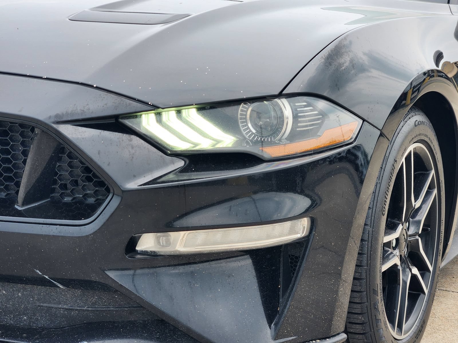 Used 2021 Ford Mustang GT w/ Equipment Group 301A RWD image 10