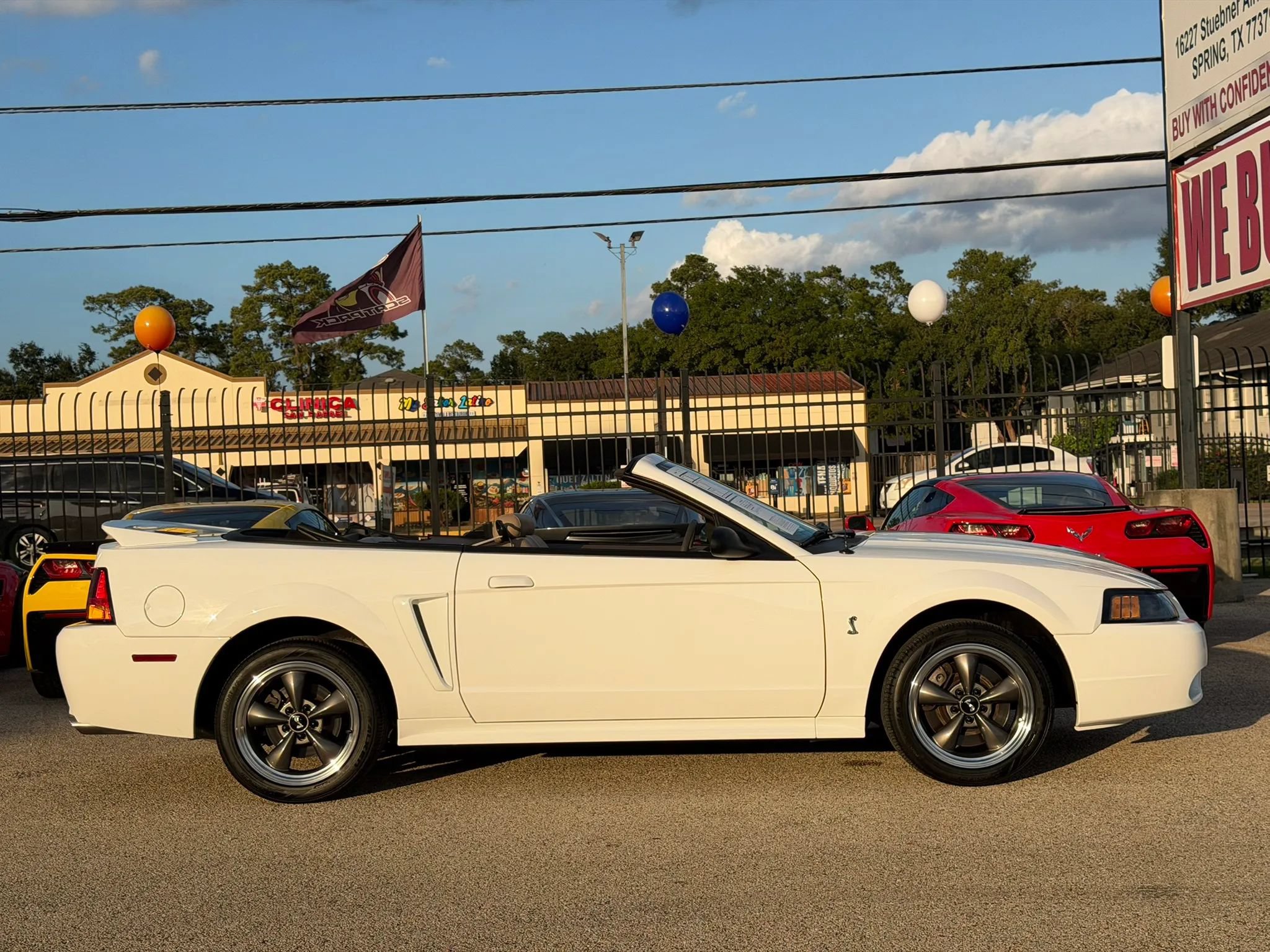 Used 1999 Ford Mustang Cobra RWD image 11