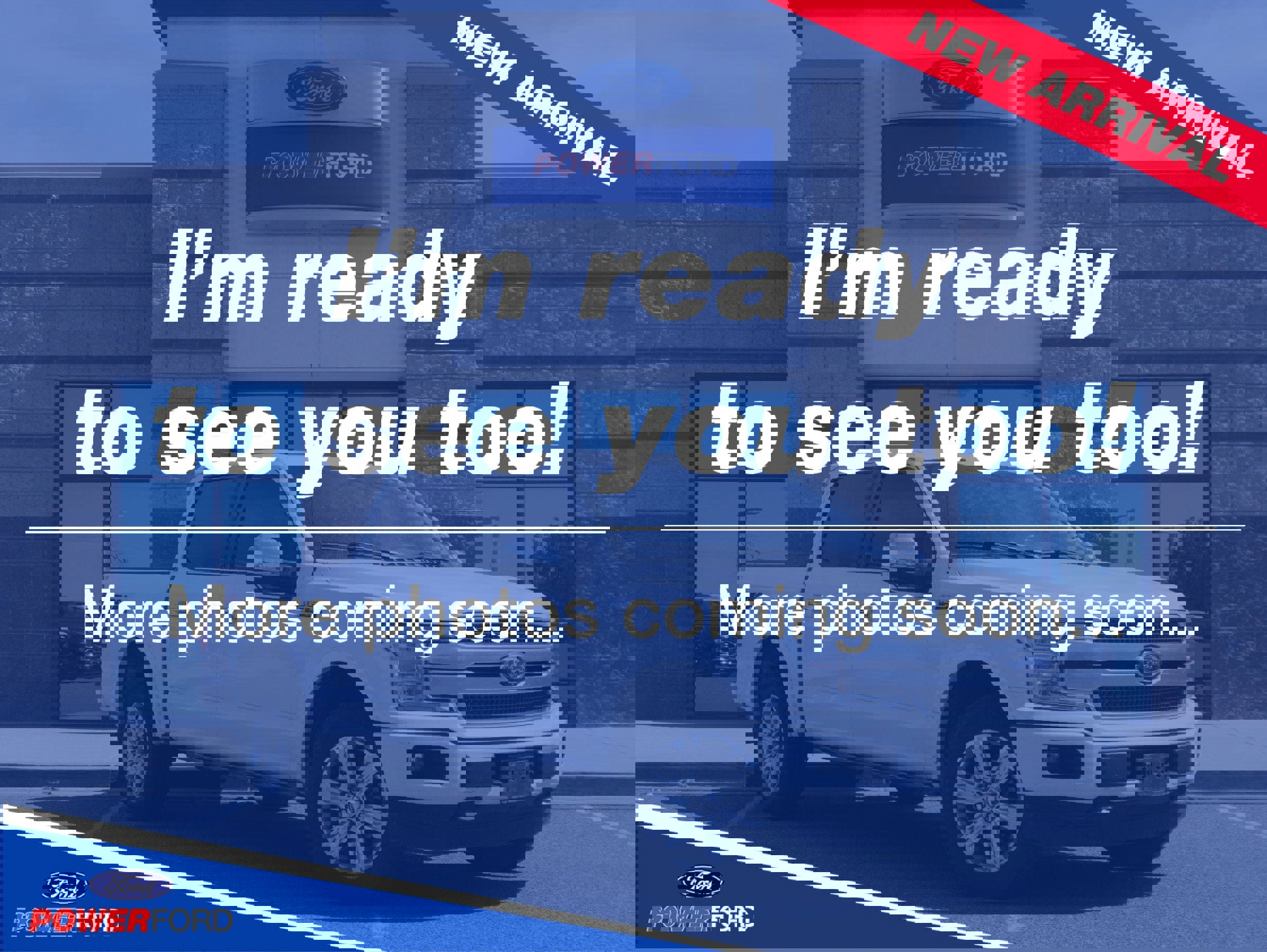 Used 2019 Ford F150 Platinum w/ Equipment Group 701A Luxury