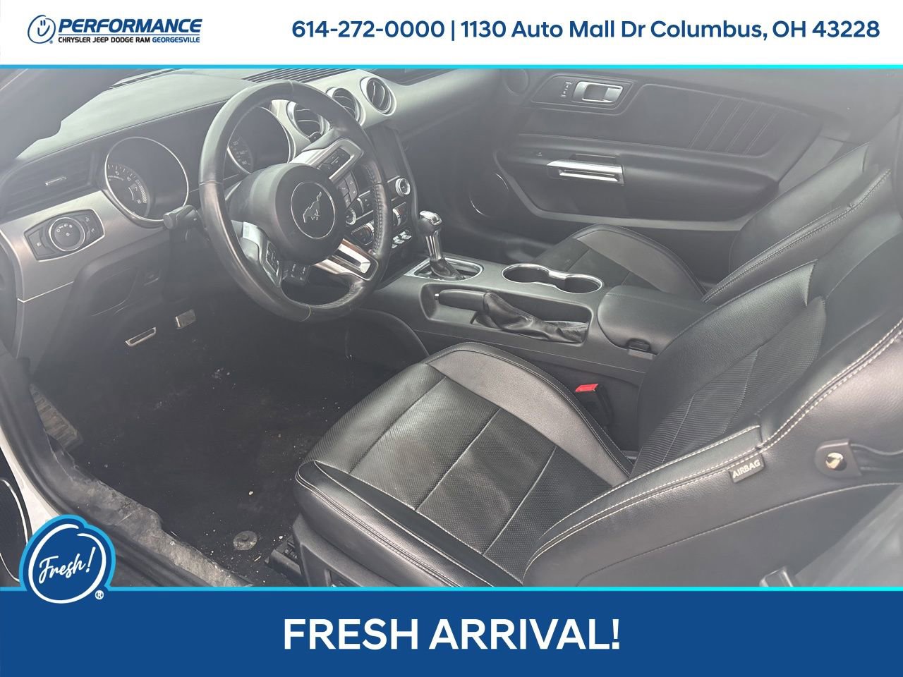 Used 2019 Ford Mustang Premium image 12