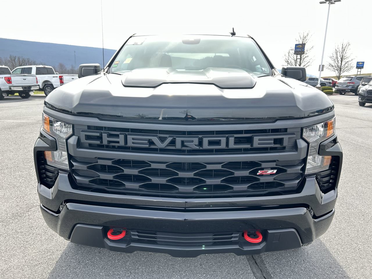 Used 2024 Chevrolet Silverado 1500 Custom Trail Boss w/ LPO, Dark Essentials Package image 14