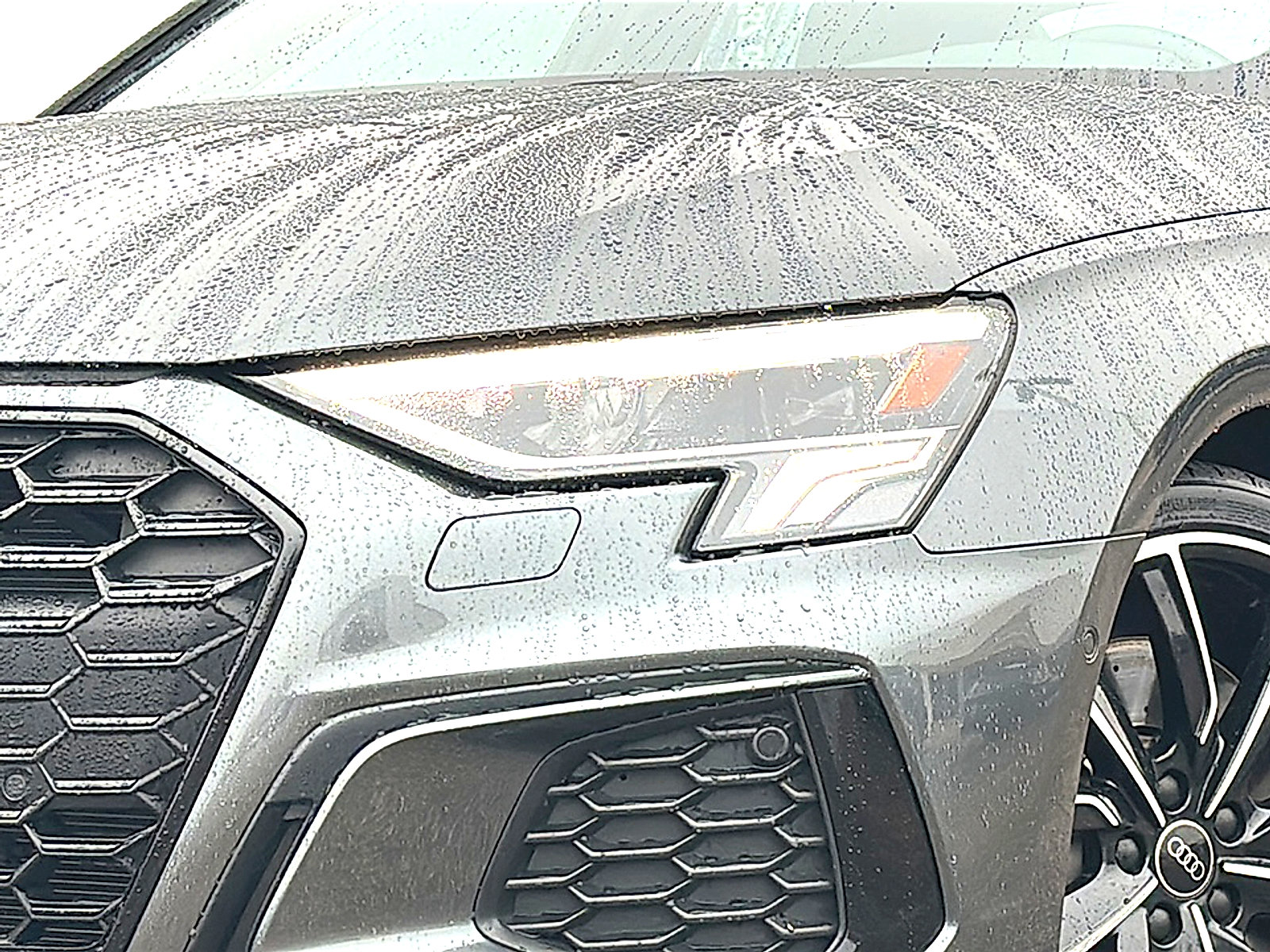 Used 2024 Audi S3 Premium Plus w/ Premium Plus Package image 4