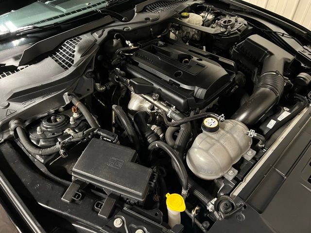 Used 2019 Ford Mustang Premium w/ Equipment Group 201A image 43