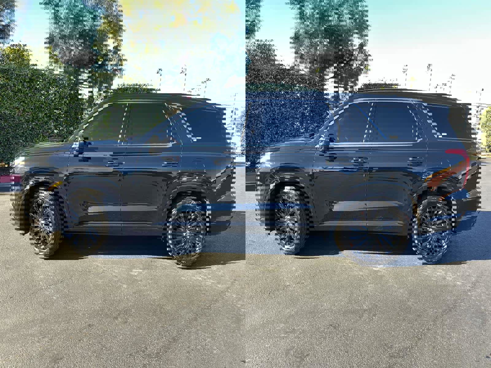 Used 2024 Hyundai Palisade Calligraphy image 3