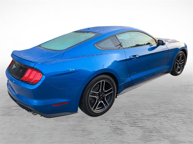 Used 2019 Ford Mustang Premium w/ Equipment Group 201A RWD video 2