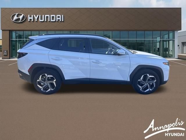 Used 2023 Hyundai Tucson Limited image 6