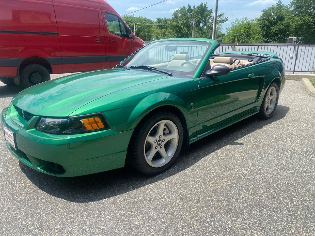 Used 1999 Ford Mustang Cobra RWD image 4