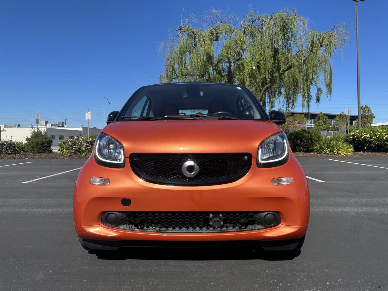 Used 2016 smart fortwo passion image 3