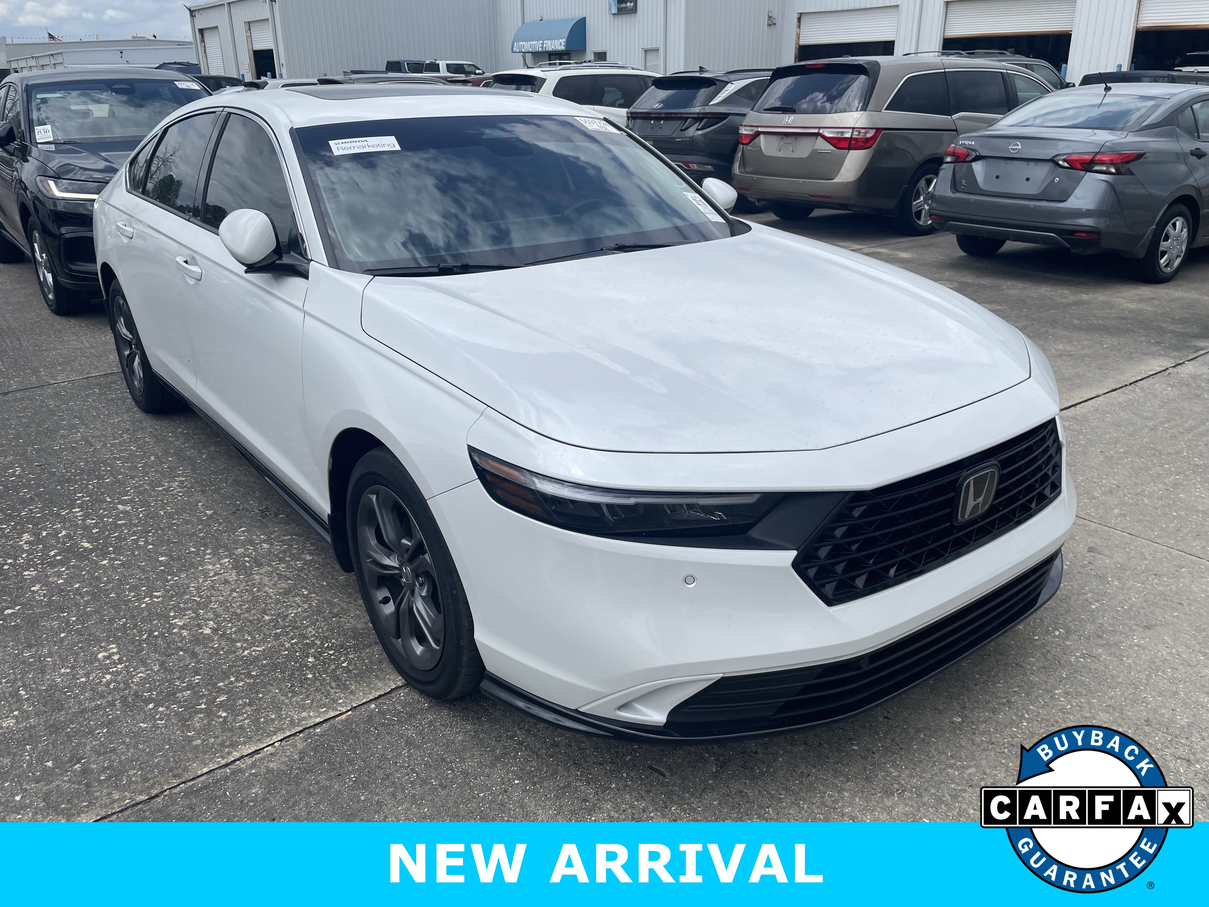 Certified 2024 Honda Accord EX-L image 1