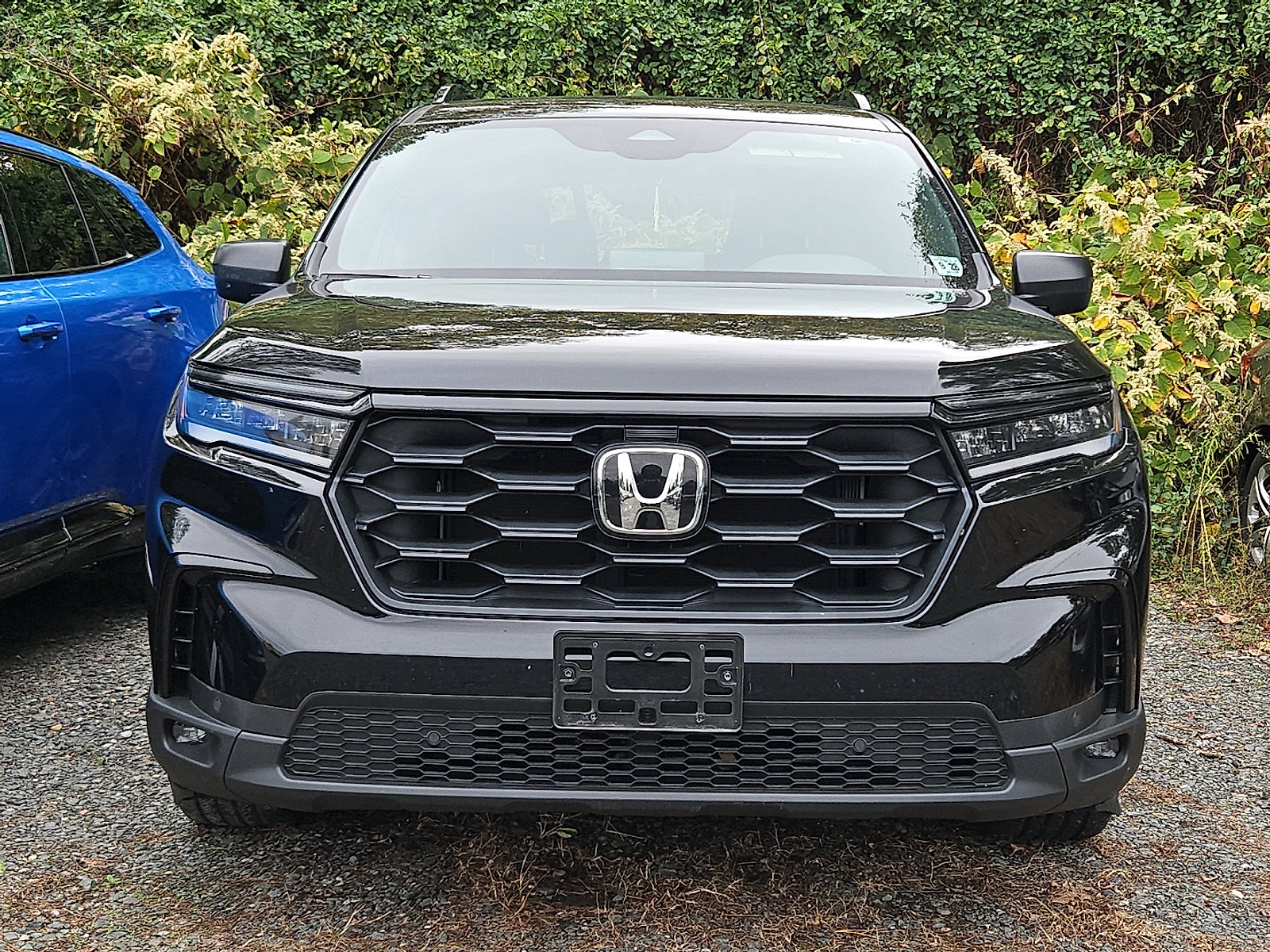 Used 2023 Honda Pilot Sport image 2