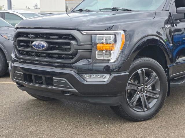 Certified 2023 Ford F150 XLT w/ Equipment Group 302A High image 2