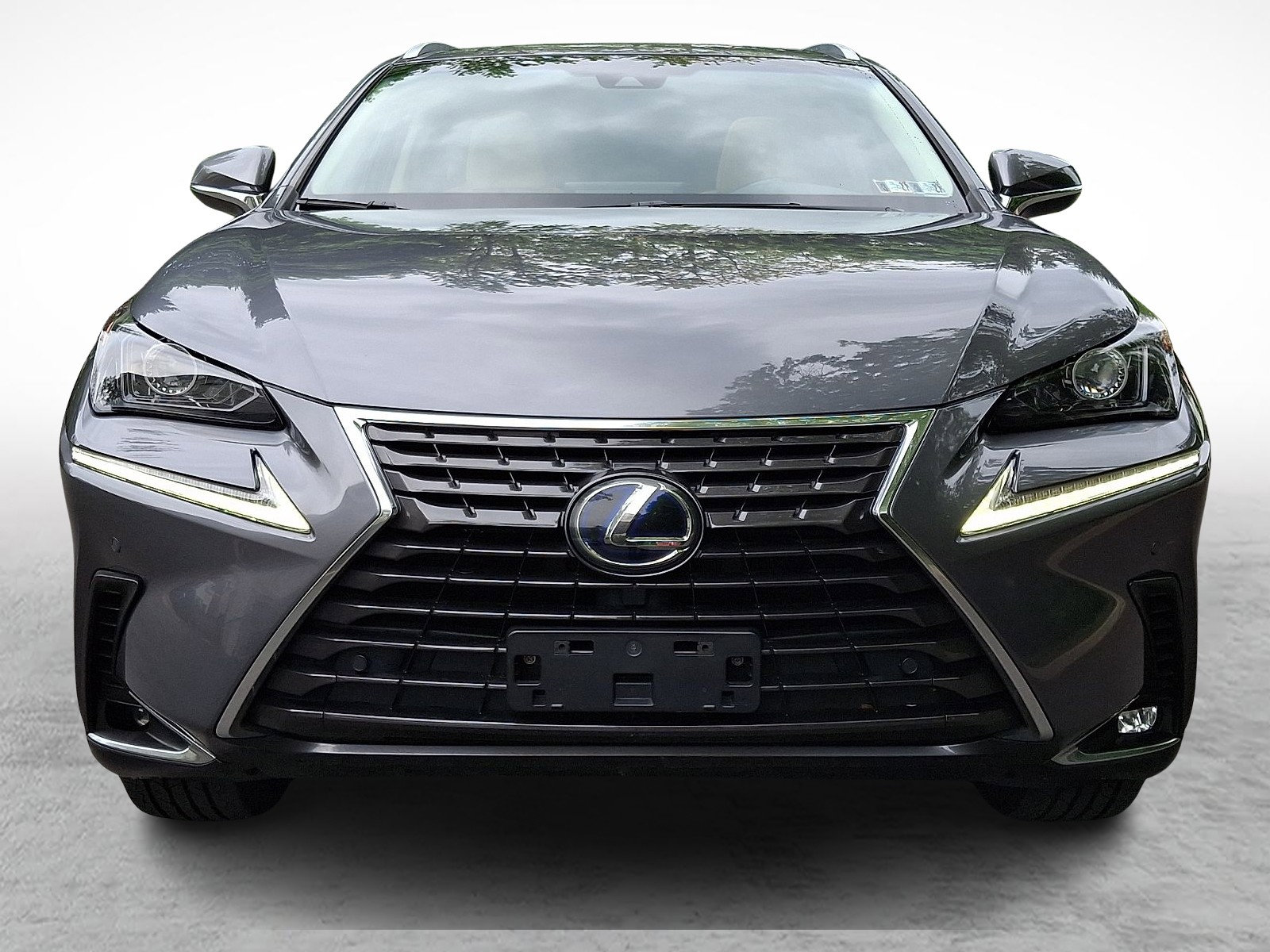 Used 2019 Lexus NX 300h AWD w/ Premium Package image 2