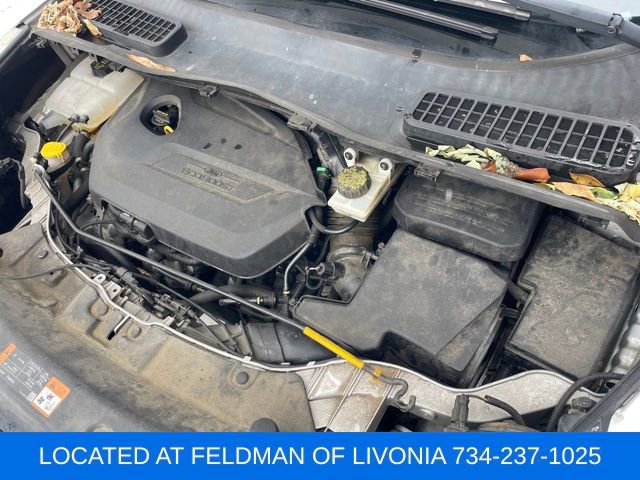 Used 2015 Ford Escape SE w/ Equipment Group 201A image 34