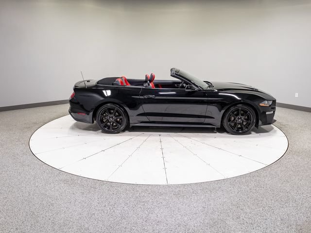 Used 2020 Ford Mustang GT Premium w/ Equipment Group 401A RWD image 7