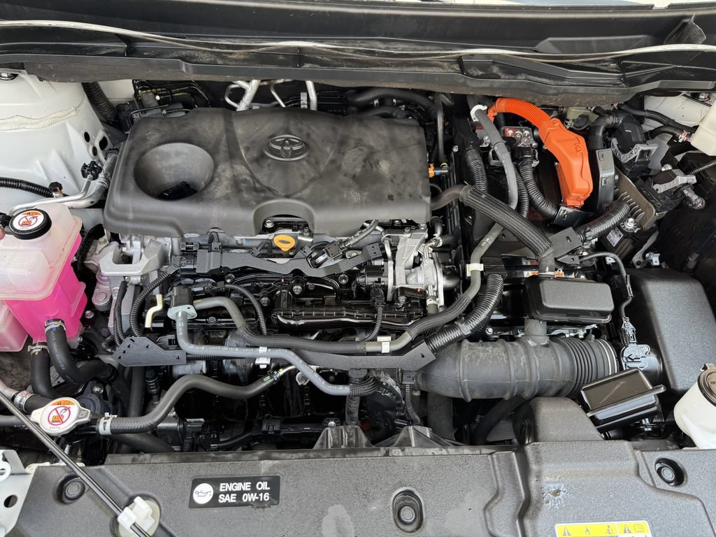 Used 2021 Toyota Sienna XLE w/ XLE Plus Package AWD/4WD image 14