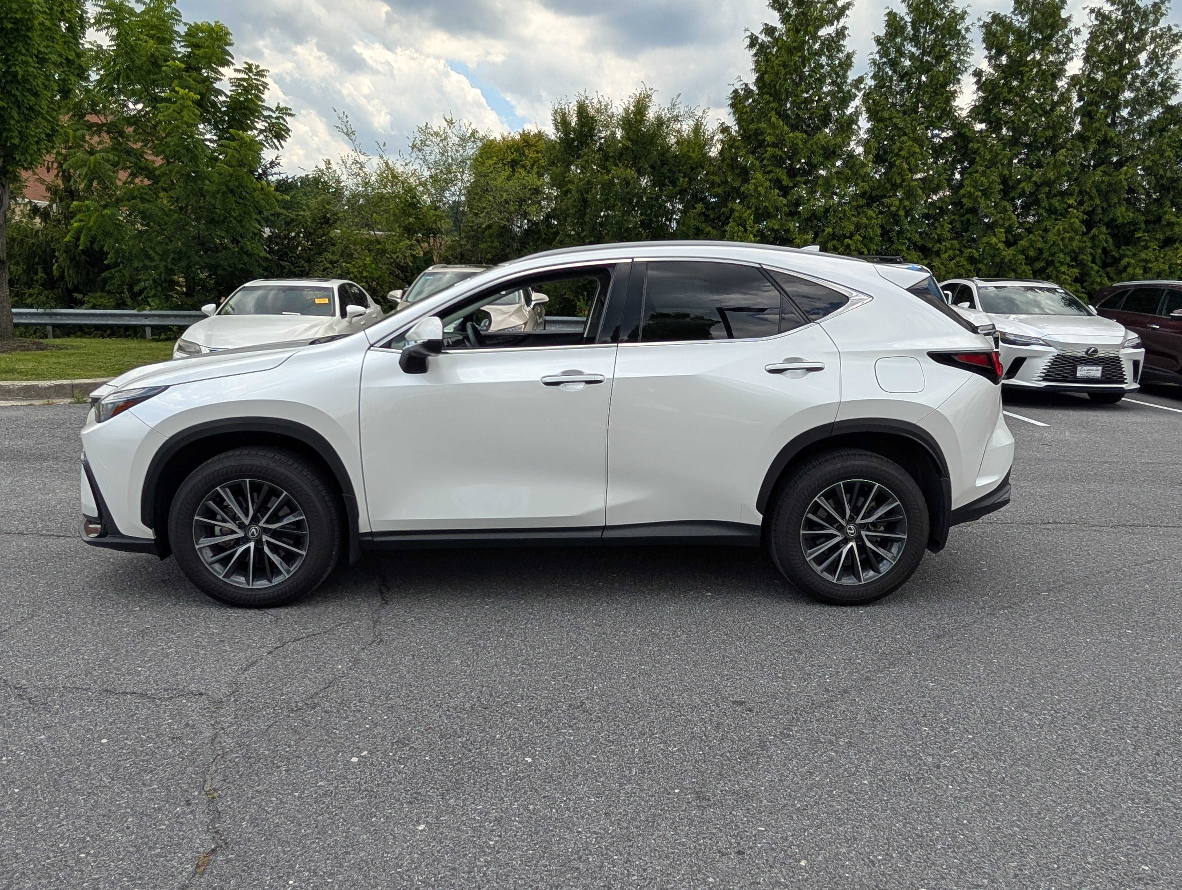 Certified 2024 Lexus NX 350 AWD w/ Cold Area Package image 6