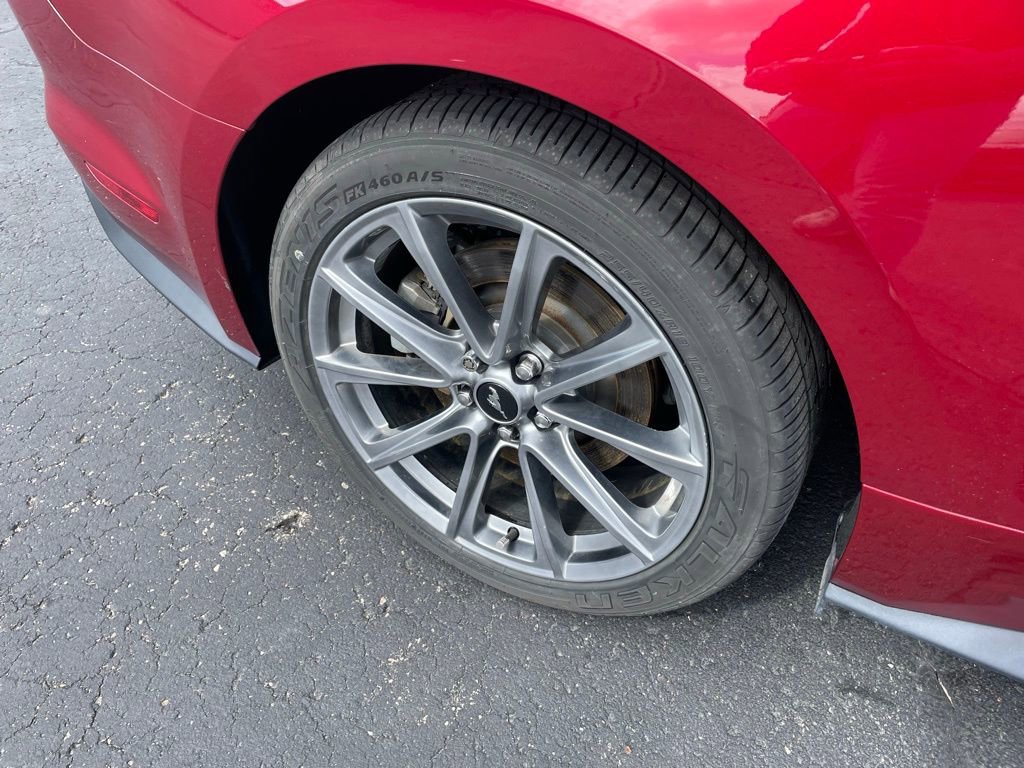 Used 2016 Ford Mustang GT Premium w/ Equipment Group 401A image 3