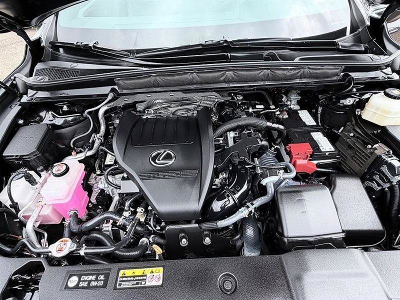 Used 2023 Lexus RX 350 Premium w/ Cold Area Package FWD image 30