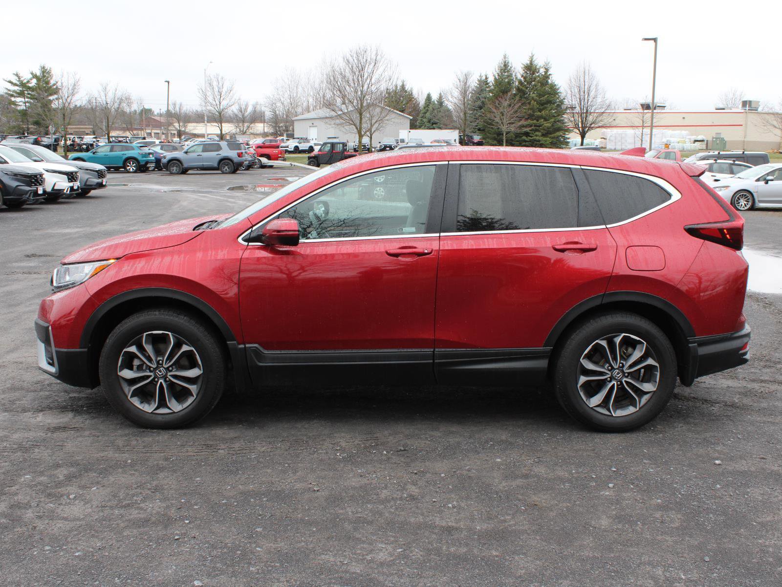 Certified 2020 Honda CR-V EX-L image 4