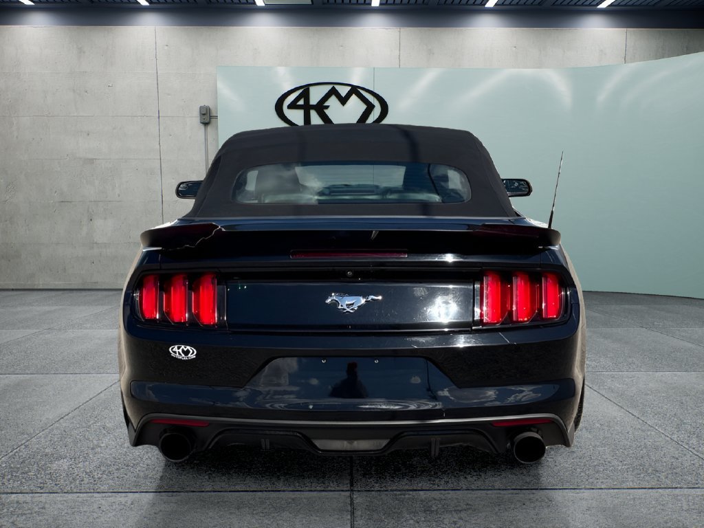 Used 2017 Ford Mustang Premium RWD image 4