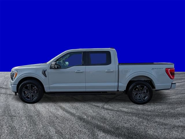 Certified 2023 Ford F150 XLT w/ Equipment Group 302A High RWD image 7
