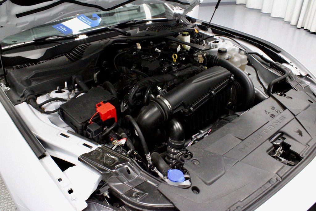 Certified 2024 Ford Mustang Premium image 16