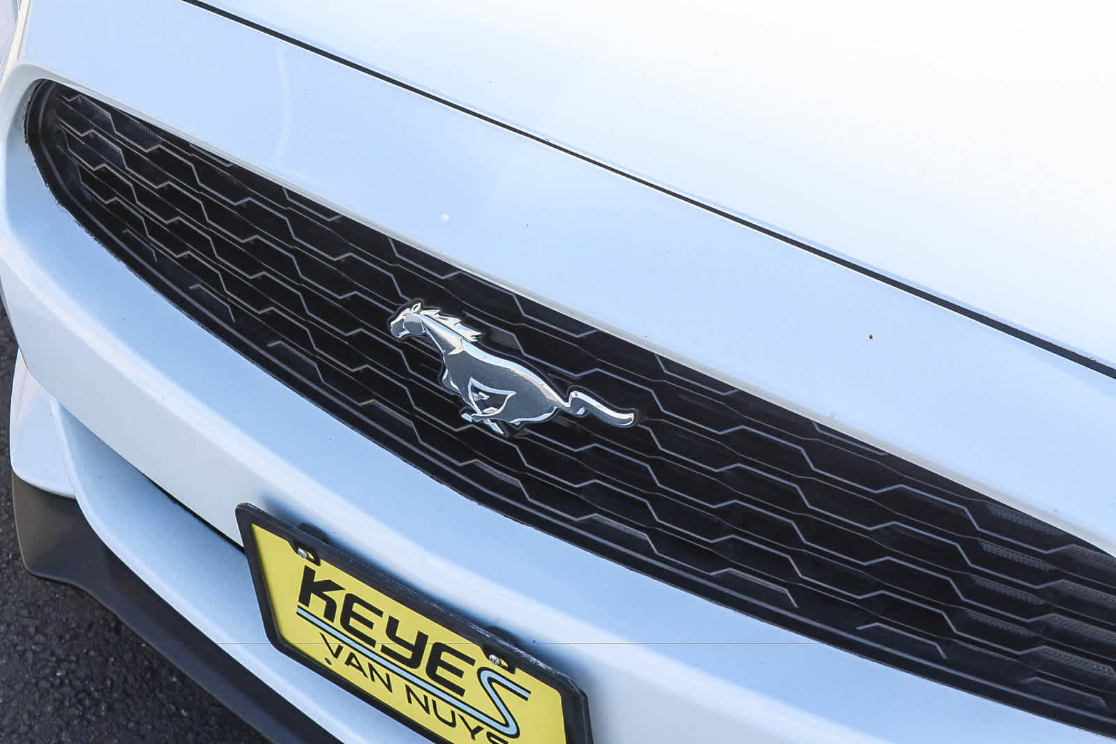 Used 2016 Ford Mustang Premium RWD image 14