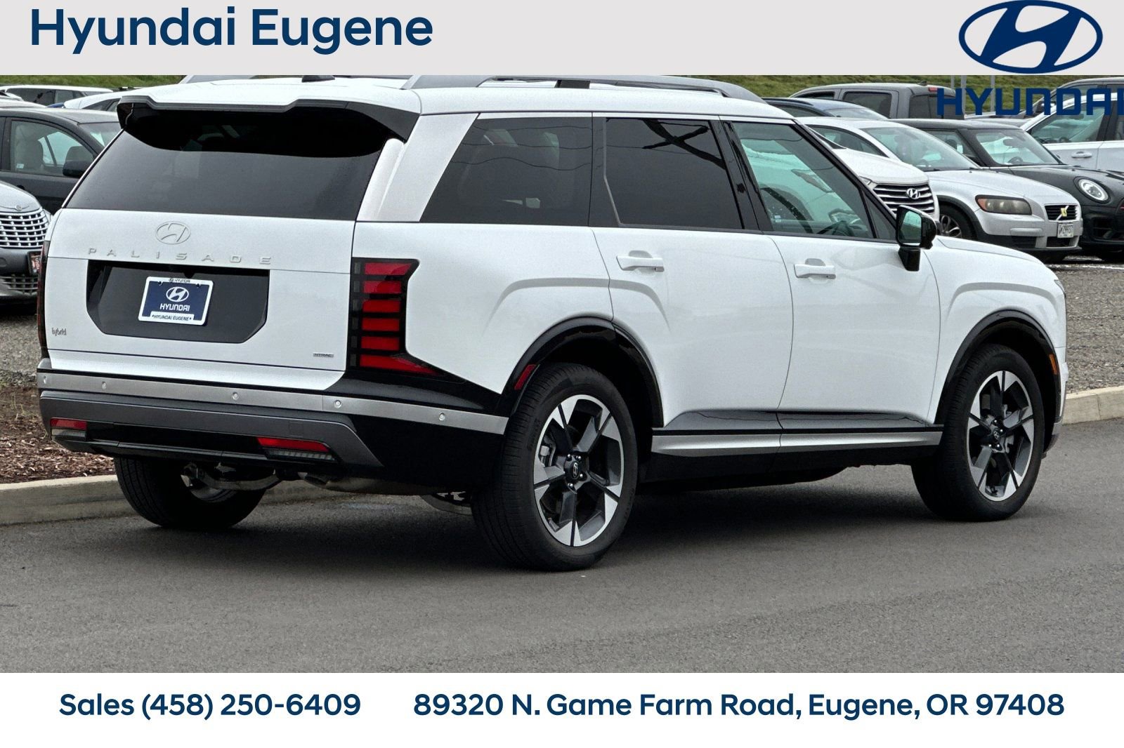 Used 2026 Hyundai Palisade Limited image 3