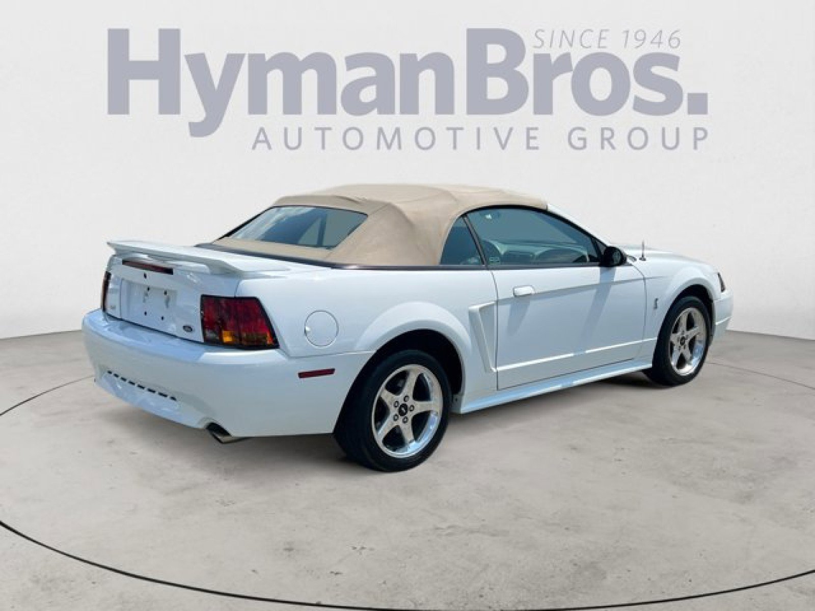 Used 2001 Ford Mustang Cobra image 3