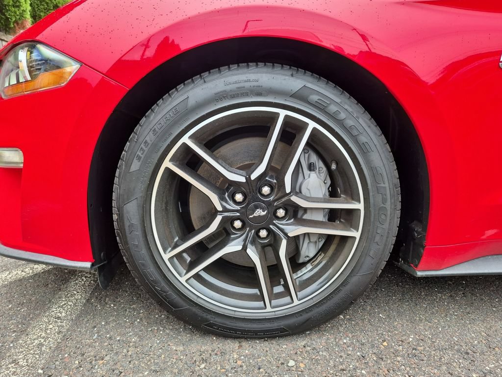 Certified 2021 Ford Mustang GT w/ Equipment Group 301A RWD image 13