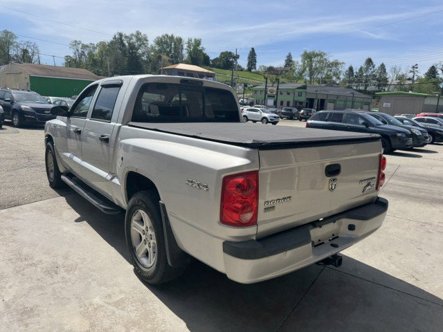 Used 2011 Dodge Dakota Big Horn AWD/4WD image 5
