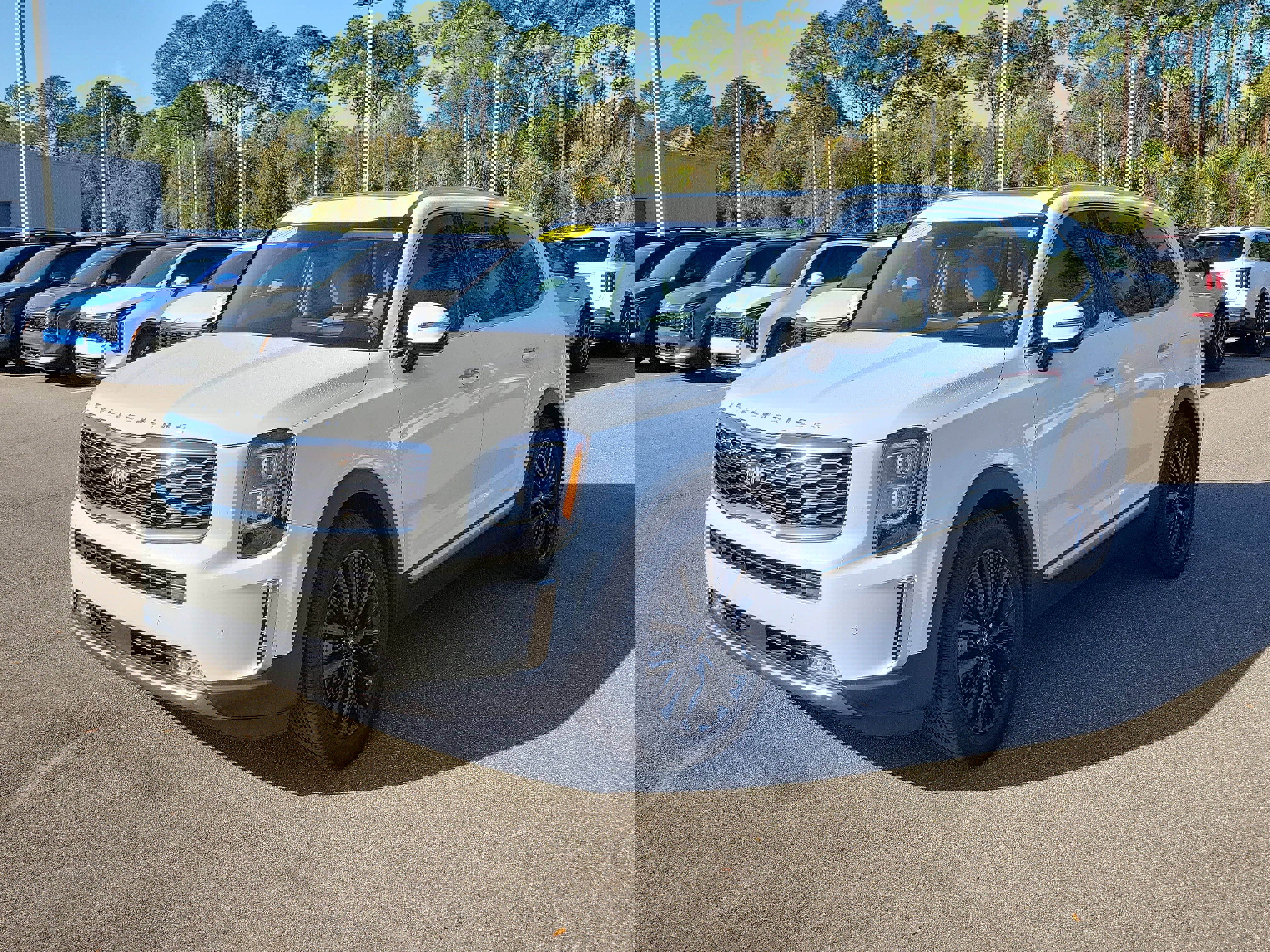 Used 2020 Kia Telluride SX w/ SX Prestige Package image 3