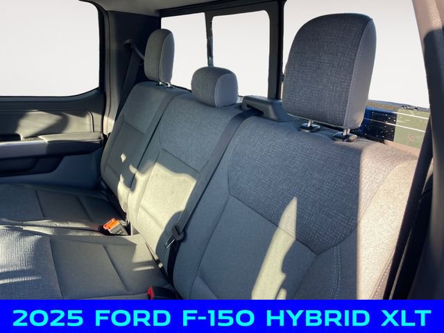 New 2025 Ford F150 XLT w/ Equipment Group 302A MID image 13
