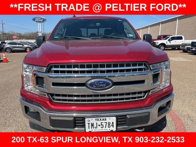 Used 2020 Ford F150 XLT w/ Equipment Group 302A Luxury image 2