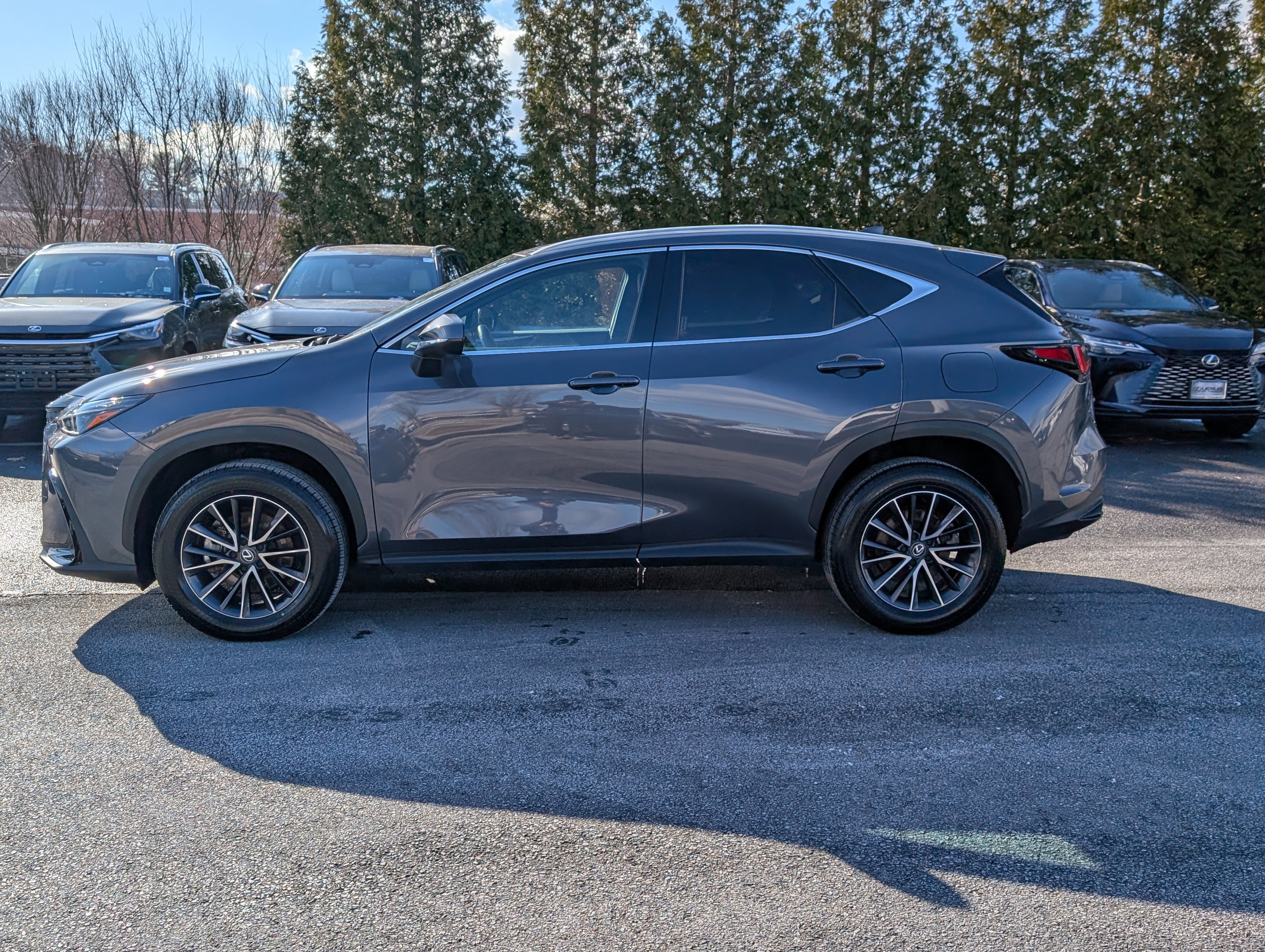 Certified 2024 Lexus NX 350h 350h Premium image 6