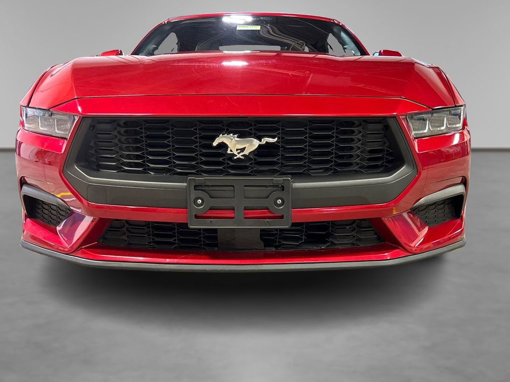 Used 2024 Ford Mustang Premium image 13