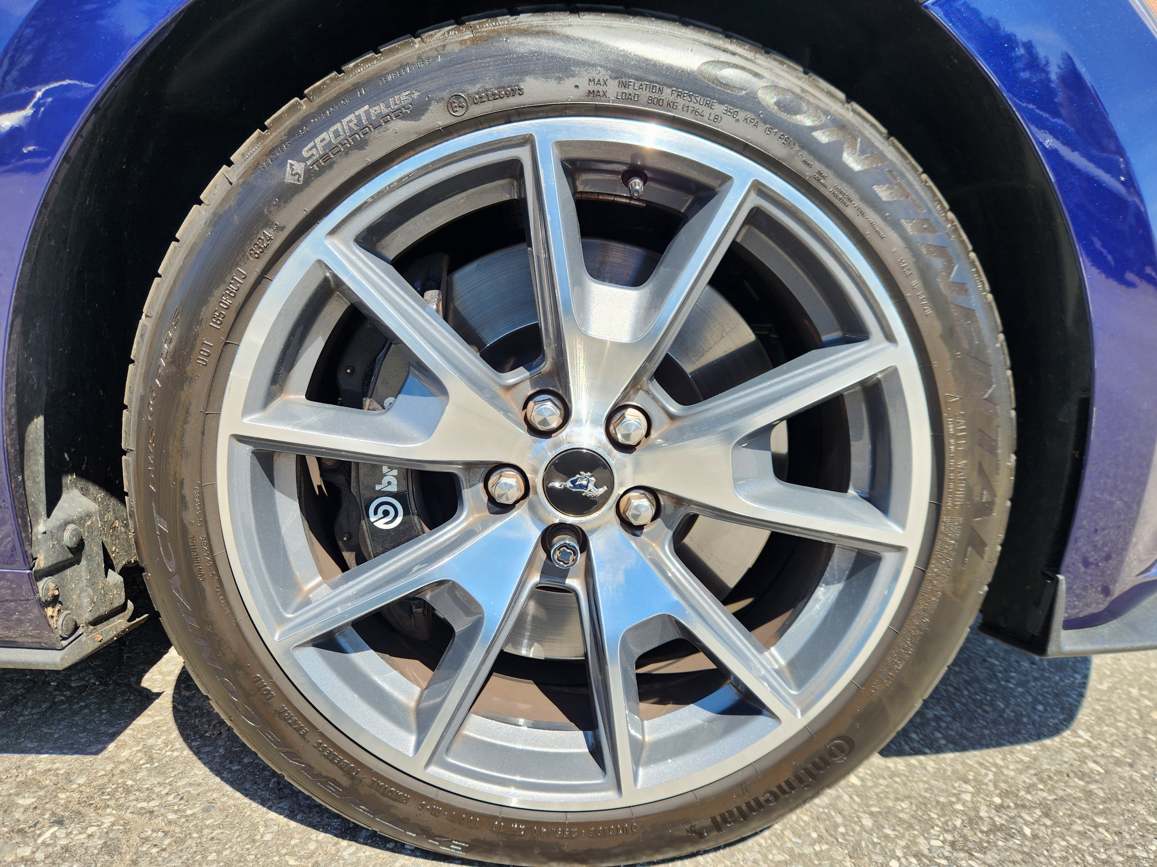 Used 2015 Ford Mustang 50 Years image 20