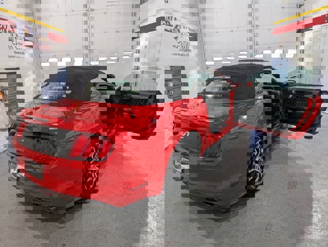 Used 2017 Ford Mustang GT Premium w/ Equipment Group 401A image 15