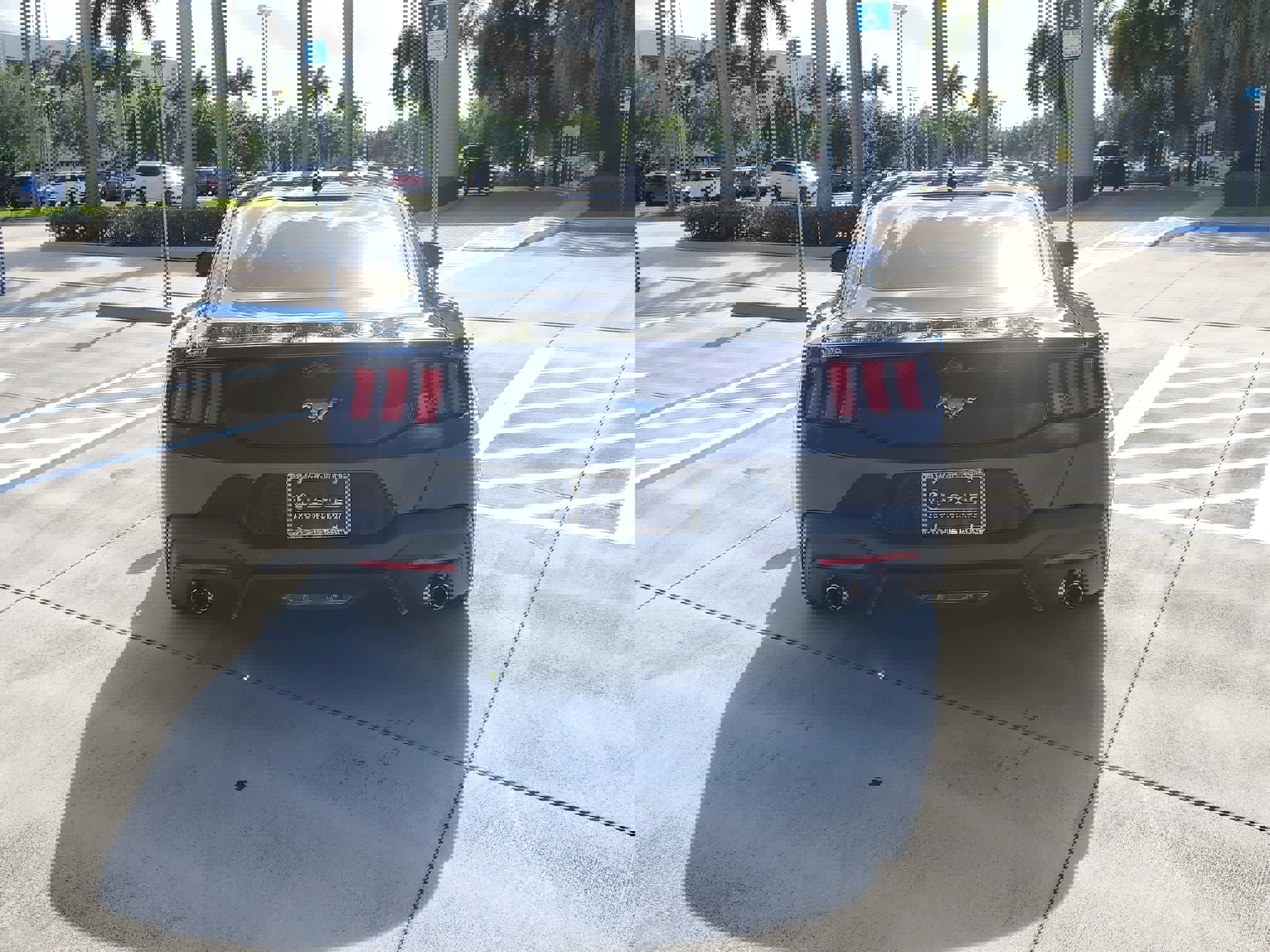 Used 2025 Ford Mustang Coupe image 8