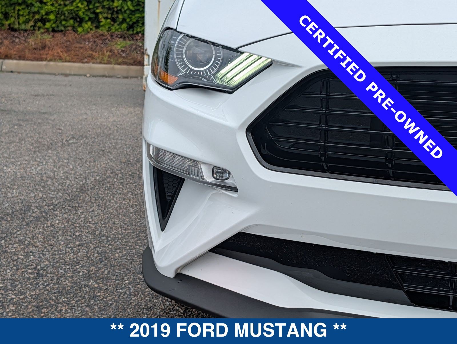 Certified 2019 Ford Mustang GT Premium w/ Equipment Group 401A RWD image 10