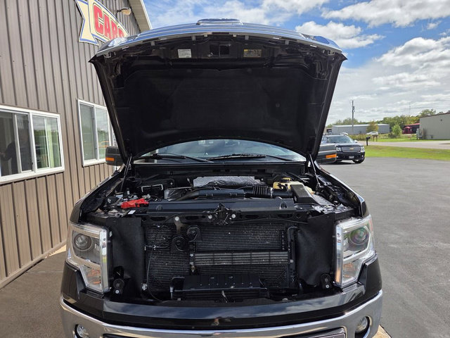 Used 2014 Ford F150 XLT w/ Equipment Group 302A Luxury AWD/4WD image 33