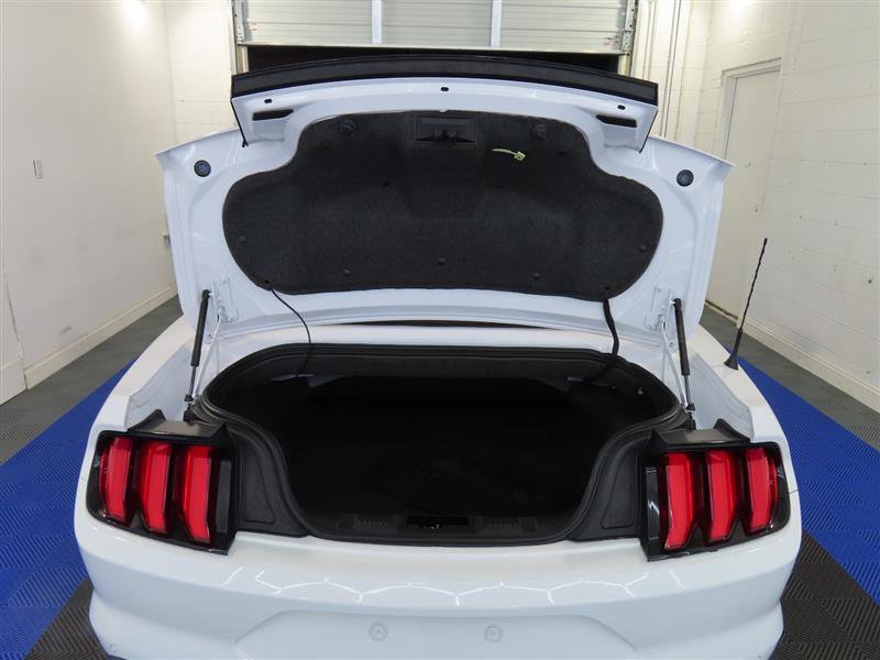 Used 2022 Ford Mustang GT Premium w/ California Special Package RWD image 14