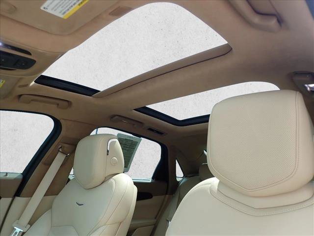 Used 2019 Cadillac CT6 Platinum AWD/4WD image 11