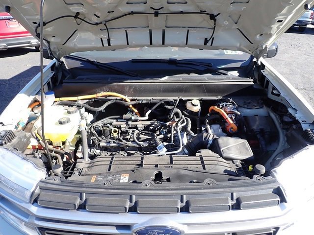 Certified 2024 Ford Maverick Lariat image 14