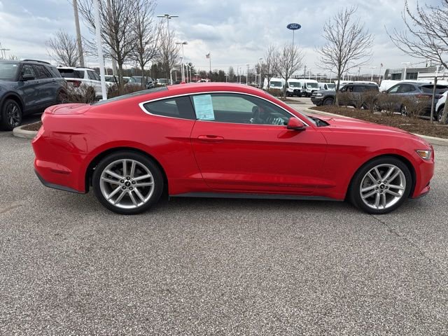 Used 2017 Ford Mustang Premium w/ Equipment Group 201A image 8